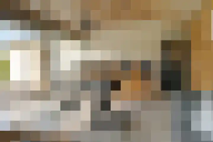 Landauerlaan 10 Leek thumbnail 72