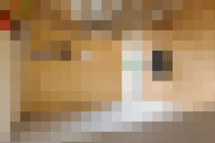 Landauerlaan 10 Leek thumbnail 75