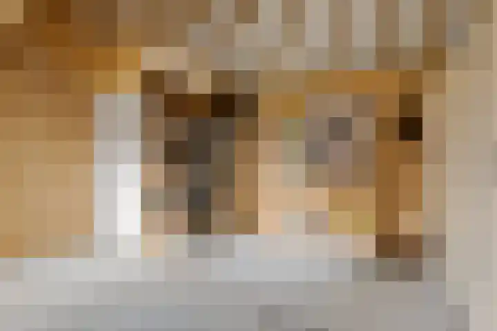 Landauerlaan 10 Leek thumbnail 77