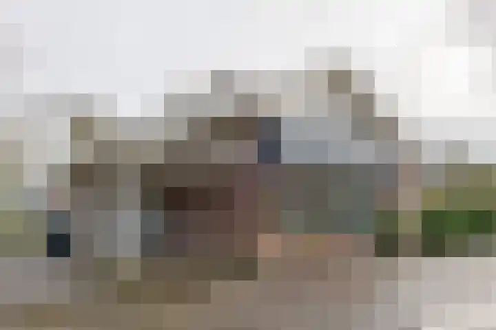 Landauerlaan 10 Leek thumbnail 8
