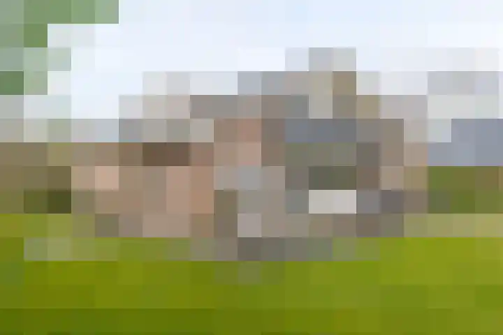 Landauerlaan 10 Leek thumbnail 81