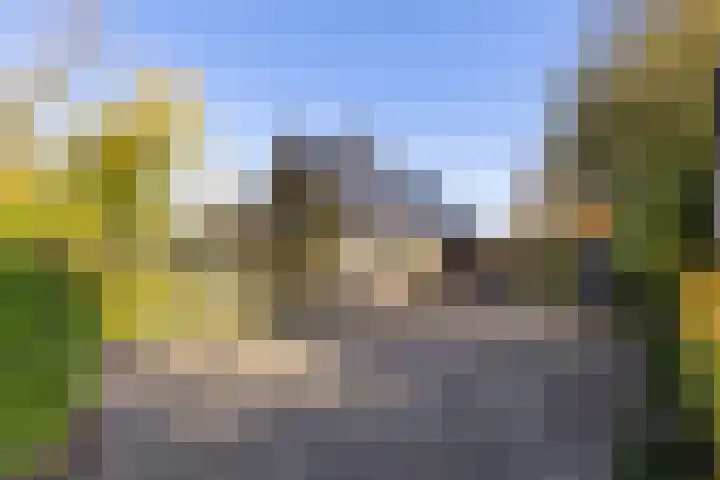 Landauerlaan 13 Leek