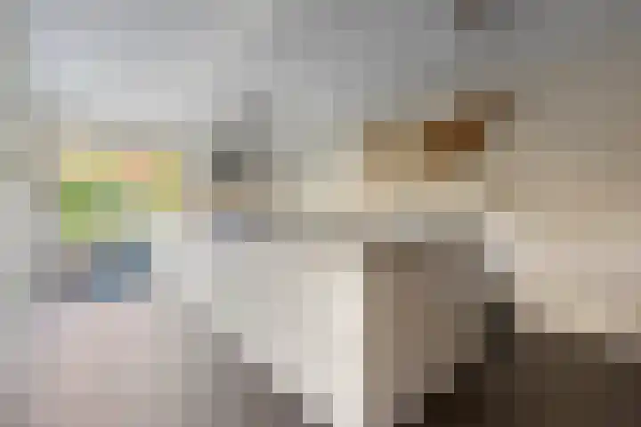 Landauerlaan 13 Leek thumbnail 19