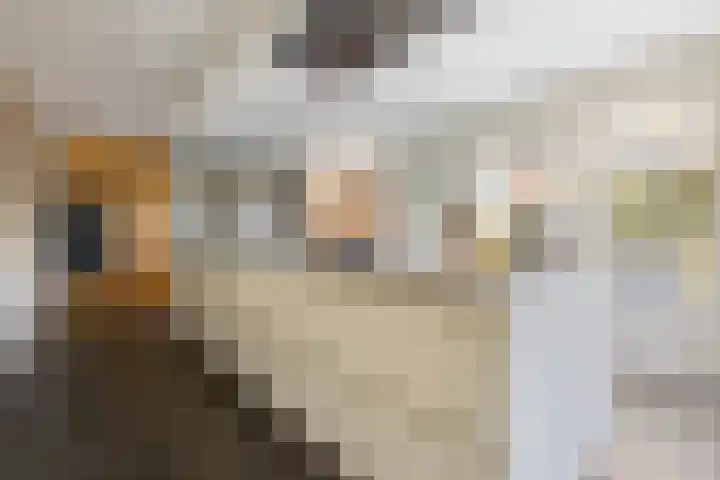 Landauerlaan 13 Leek thumbnail 21