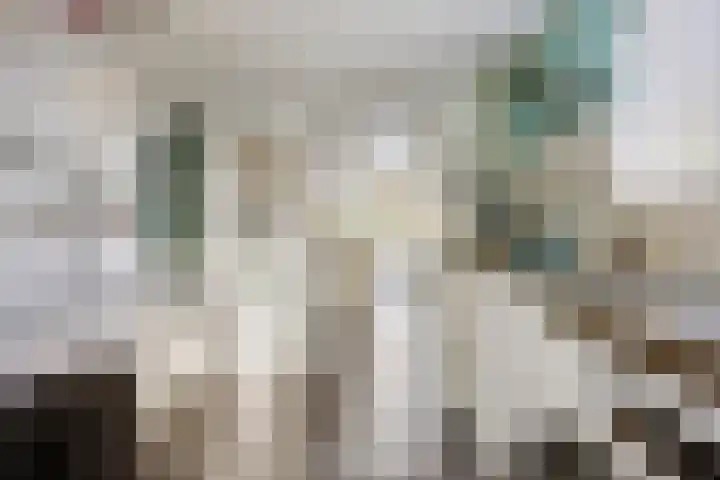 Landauerlaan 13 Leek thumbnail 25