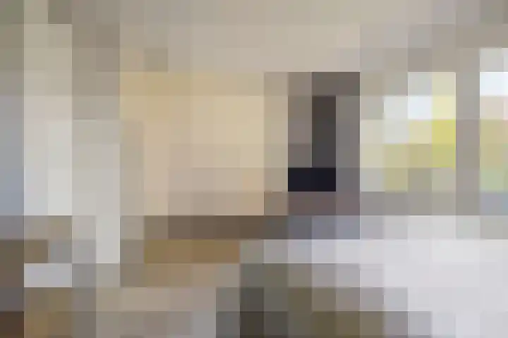 Landauerlaan 13 Leek thumbnail 30