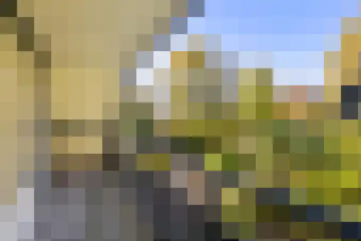Landauerlaan 13 Leek thumbnail 31