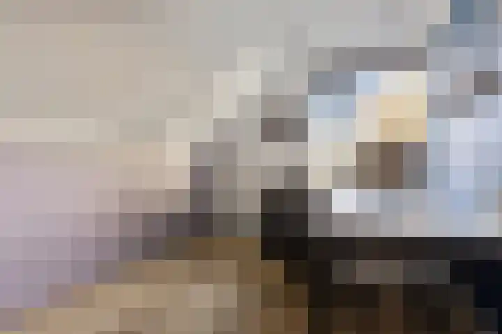 Landauerlaan 13 Leek thumbnail 33