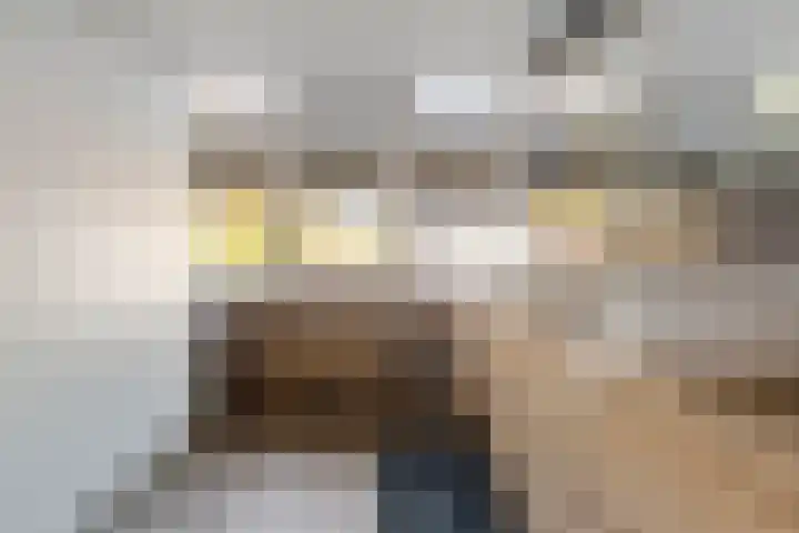 Landauerlaan 13 Leek thumbnail 34