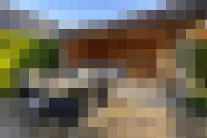 Landauerlaan 13 Leek thumbnail 39
