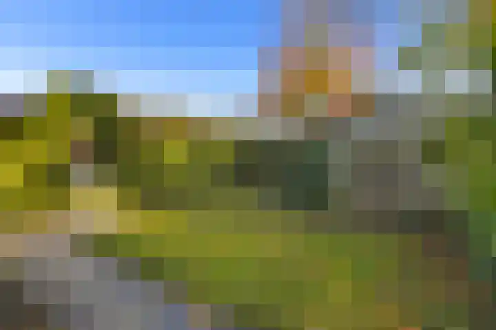 Landauerlaan 13 Leek thumbnail 41