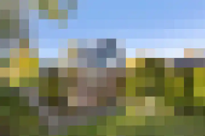 Landauerlaan 13 Leek thumbnail 42
