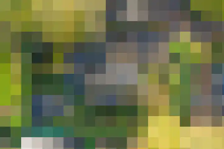 Landauerlaan 13 Leek thumbnail 43