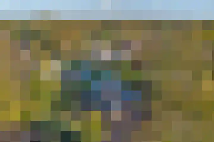Landauerlaan 13 Leek thumbnail 8