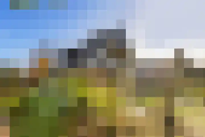 Landauerlaan 13 Leek thumbnail 9