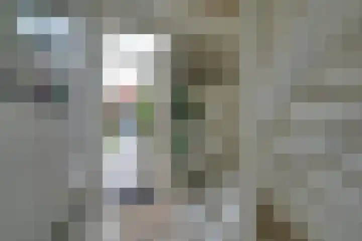 Landauerstraat 38 Purmerend thumbnail 28