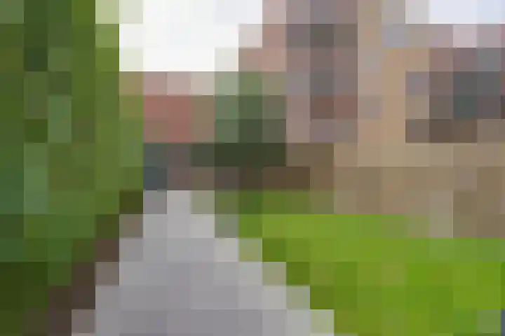 Landauerstraat 38 Purmerend thumbnail 32