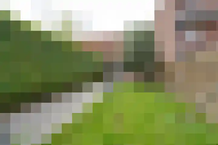 Landauerstraat 38 Purmerend thumbnail 33