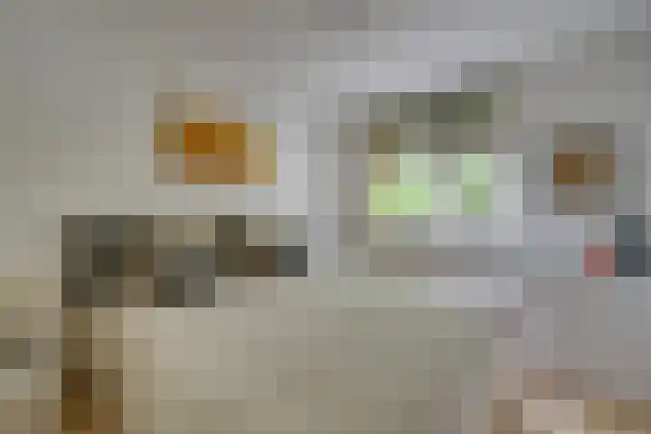 Landauerstraat 38 Purmerend thumbnail 38