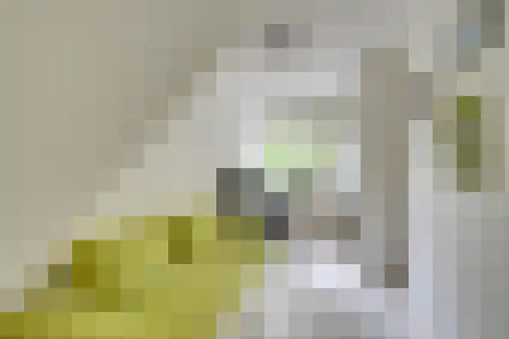 Landauerstraat 38 Purmerend thumbnail 41