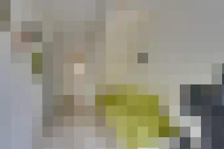 Landauerstraat 38 Purmerend thumbnail 42