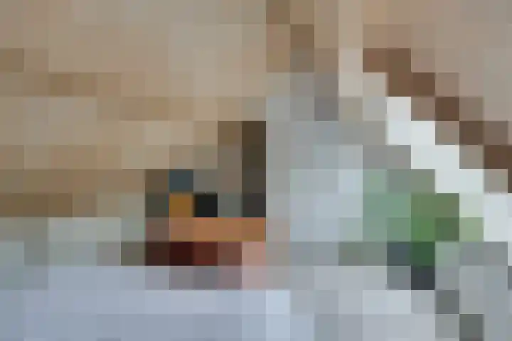 Landauerstraat 38 Purmerend thumbnail 52