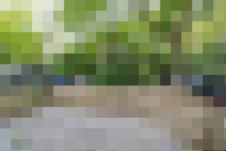 Landauerstraat 38 Purmerend thumbnail 7