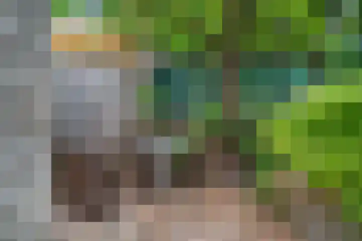 Landbouw 9 Houten thumbnail 12