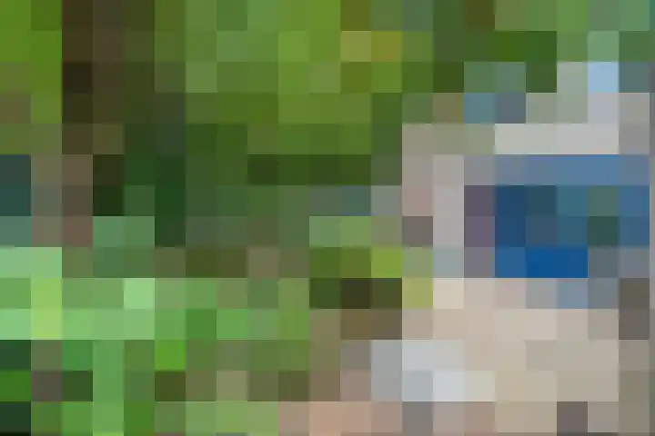 Landbouw 9 Houten thumbnail 13