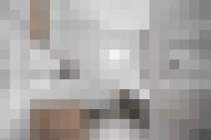 Landbouw 9 Houten thumbnail 18