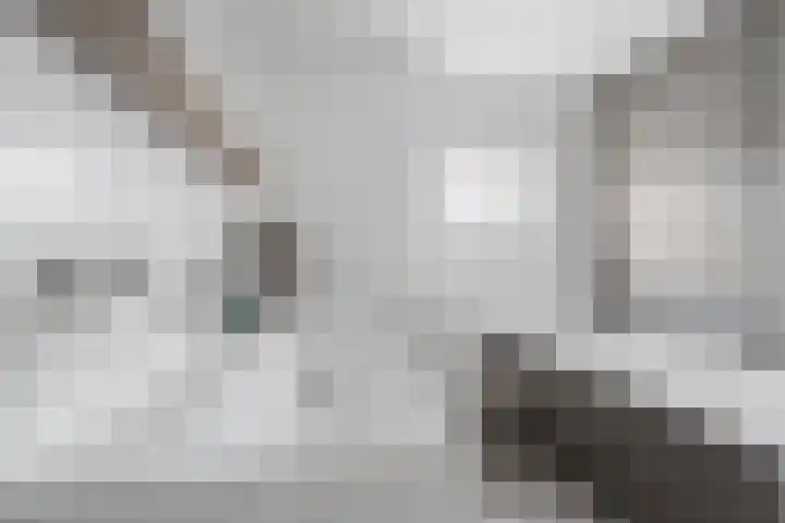 Landbouw 9 Houten thumbnail 19