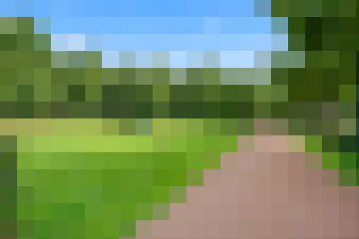 Landbouw 9 Houten thumbnail 39