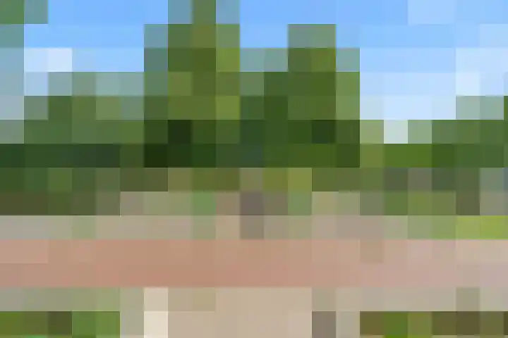 Landbouw 9 Houten thumbnail 40