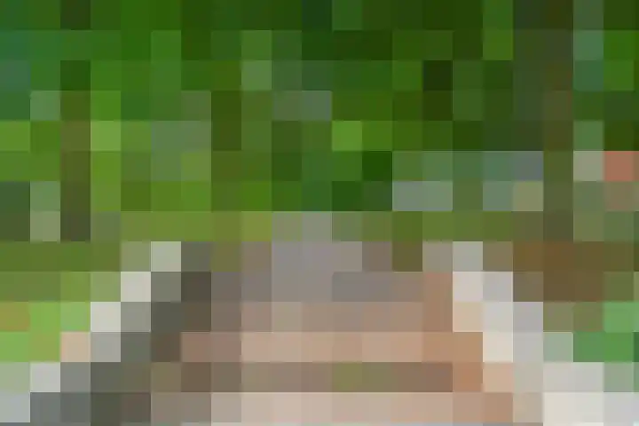 Landbouw 9 Houten thumbnail 41