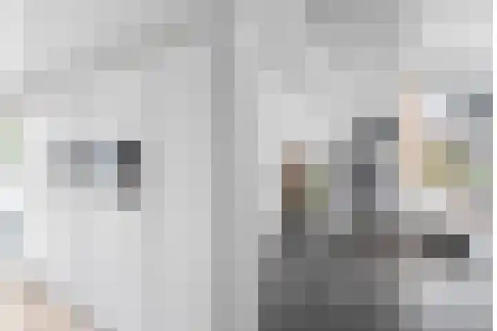 Landbouw 9 Houten thumbnail 9