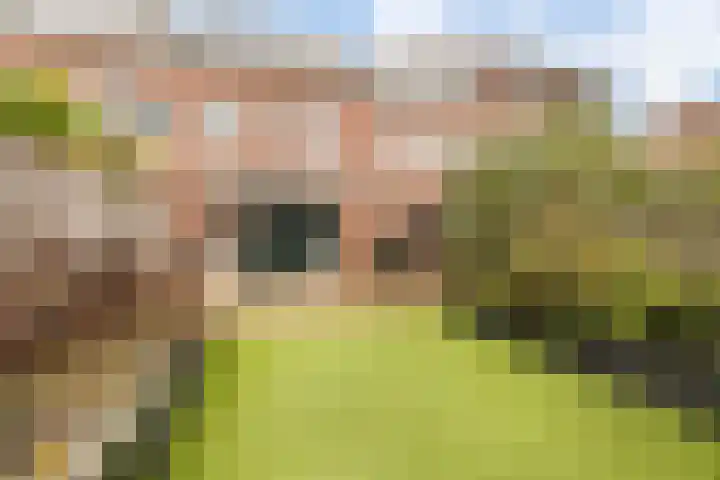 Landbouwerserf 14 Arnhem thumbnail 29