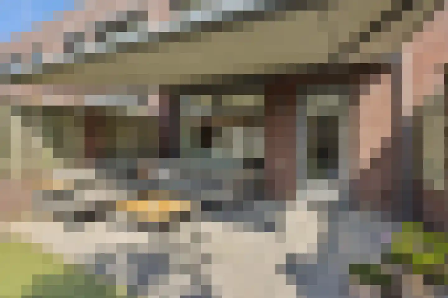 Landbouwlaan 102 Berghem thumbnail 20