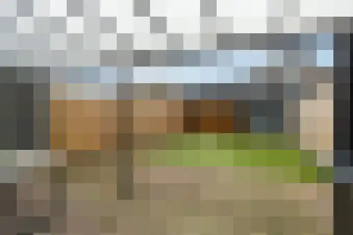 Landbouwlaan 127 Berghem thumbnail 18