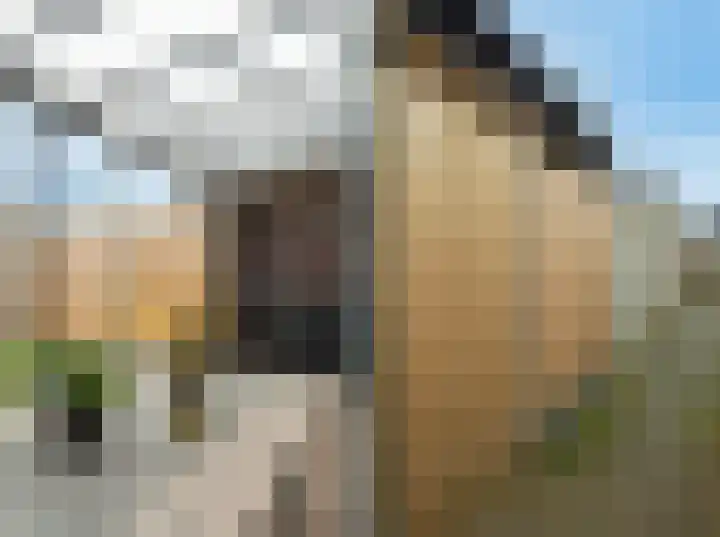 Landbouwlaan 127 Berghem thumbnail 19