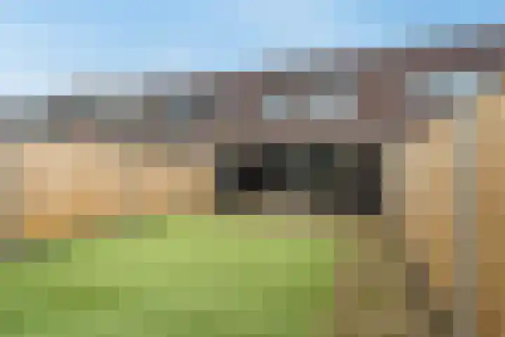 Landbouwlaan 127 Berghem thumbnail 4