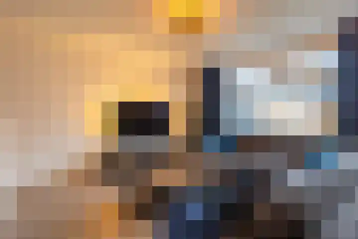 Landbouwlaan 127 Berghem thumbnail 7