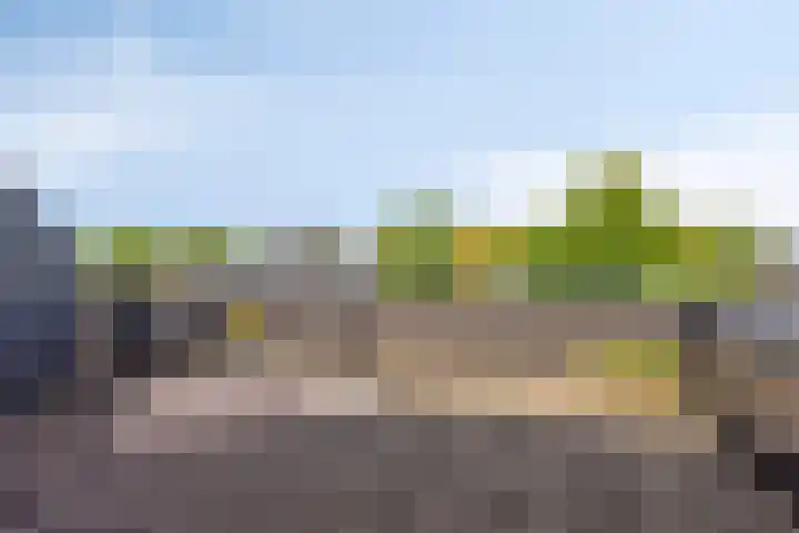 Landbouwlaan 133 Berghem thumbnail 32