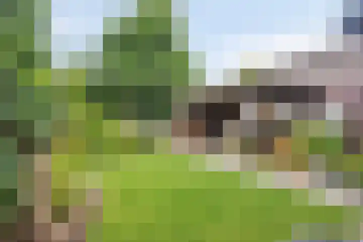 Landbouwlaan 133 Berghem thumbnail 37