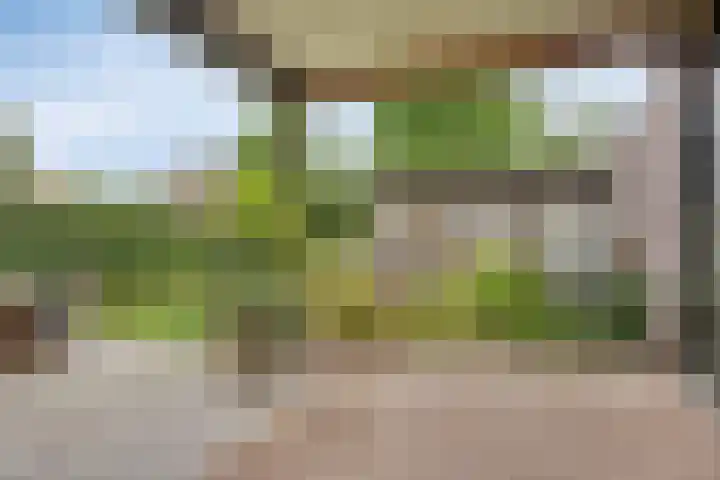 Landbouwlaan 133 Berghem thumbnail 38