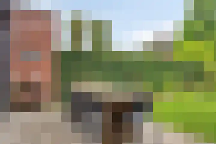 Landbouwlaan 133 Berghem thumbnail 40
