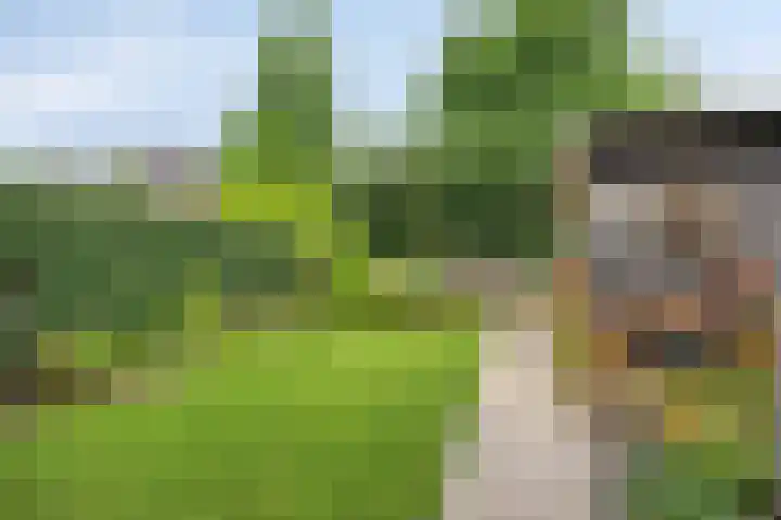 Landbouwlaan 133 Berghem thumbnail 41