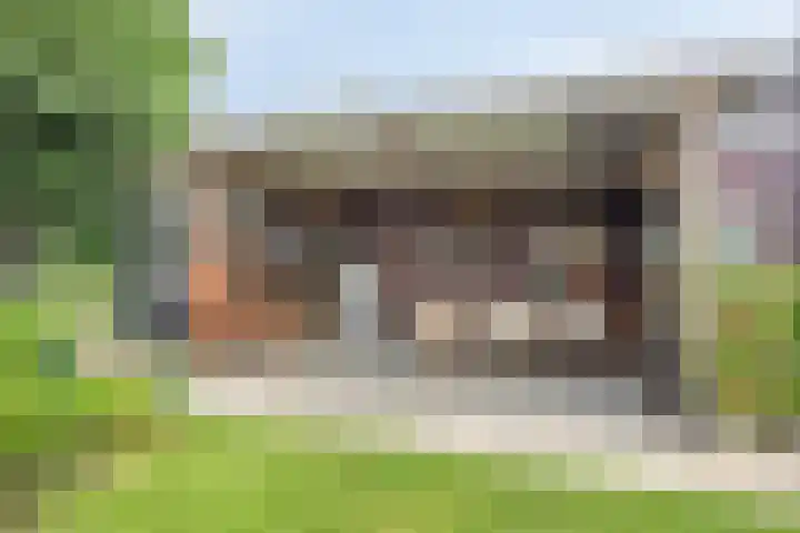 Landbouwlaan 133 Berghem thumbnail 43