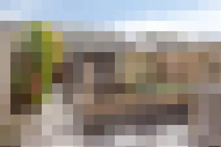 Landbouwlaan 138 Berghem thumbnail 30