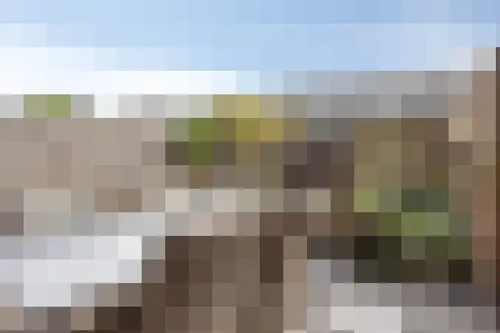 Landbouwlaan 138 Berghem thumbnail 4