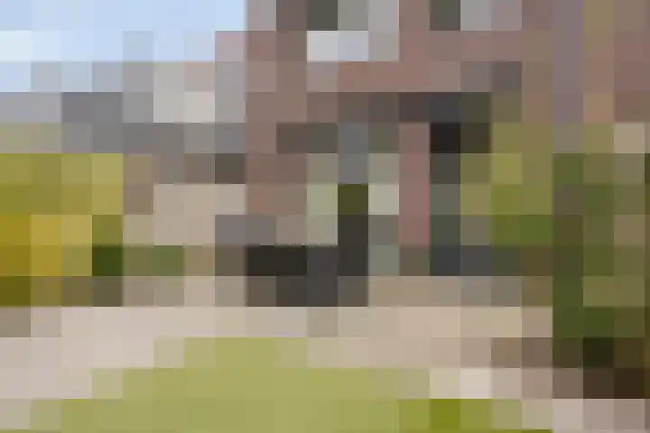 Landbouwlaan 173 Berghem thumbnail 19